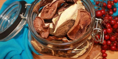 Jak správně suché houby (7 způsobů doma)